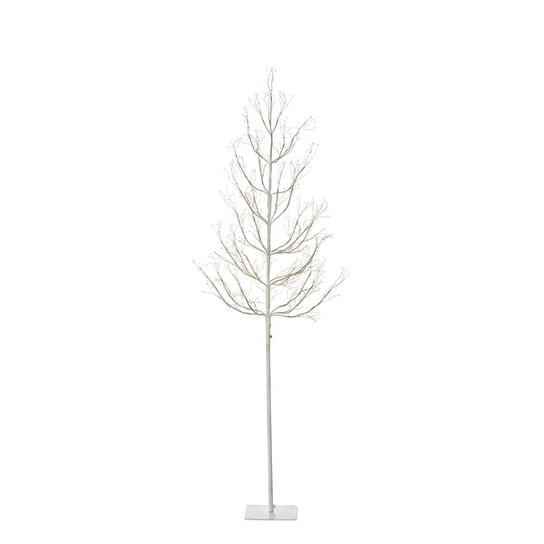Winter White Adjustable Height LED Lighted Tree, 5-6' XLQ40599 Park Hill
