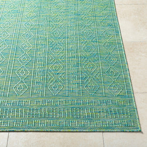 Livabliss Terrace Turkish Polypropylene Area Rug Weather Resistant Indoor Outdoor Living Room TRC2307-9212