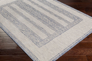 Livabliss Tuareg Flatweave Polypropylene Area Rug Turkish Woven Bohemian Pattern for Indoor Outdoor TRG2302-9212