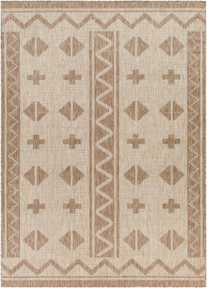 Livabliss Tuareg Flatweave Polypropylene Area Rug Turkish Woven for Indoor Outdoor Living TRG2311-9212