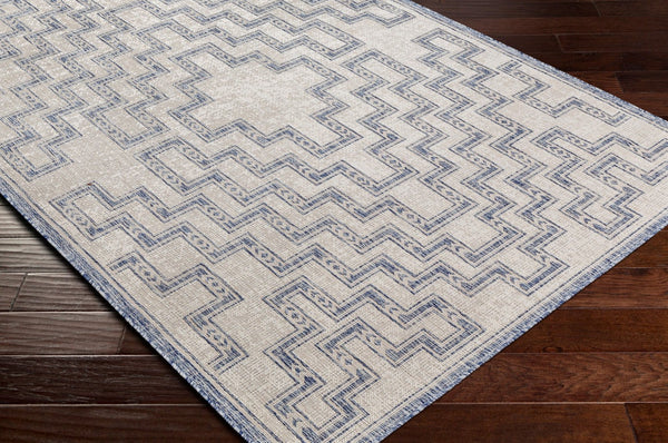 Livabliss Tuareg Bohemian Global Flatweave Polypropylene Area Rug for Living Room or Patio TRG2314-9212