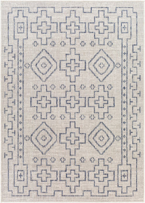 Livabliss Tuareg Flatweave Polypropylene Area Rug Global Pattern Indoor Outdoor Patio Living Room Tan, Pale Blue 6'7" x 9' TRG2316-679