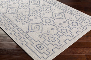 Livabliss Tuareg Flatweave Polypropylene Area Rug Global Pattern Indoor Outdoor Patio Living Room Tan, Pale Blue 6'7" x 9' TRG2316-679