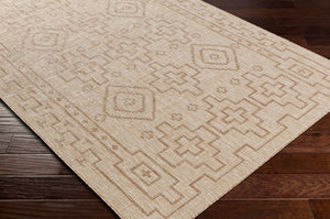 Livabliss Tuareg Flatweave Polypropylene Area Rug Global Pattern Indoor Outdoor Patio TRG2317-9212