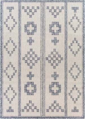 Livabliss Tuareg Bohemian Global Flatweave Polypropylene Area Rug for Indoor Outdoor Living Spaces Tan, Pale Blue 6'7" x 9' TRG2318-679