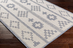 Livabliss Tuareg Bohemian Global Flatweave Polypropylene Area Rug for Indoor Outdoor Living Spaces Tan, Pale Blue 6'7" x 9' TRG2318-679