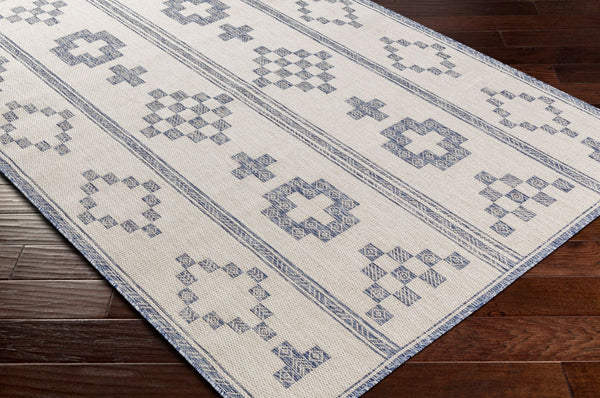 Livabliss Tuareg Bohemian Global Flatweave Polypropylene Area Rug for Indoor Outdoor Living Spaces Tan, Pale Blue 6'7" x 9' TRG2318-679