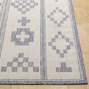 Livabliss Tuareg Bohemian Global Flatweave Polypropylene Area Rug for Indoor Outdoor Living Spaces Tan, Pale Blue 6'7" x 9' TRG2318-679