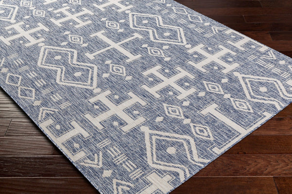 Livabliss Tuareg Machine Woven Polypropylene Low Pile Area Rug for Living Room or Patio TRG2323-679