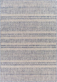 Tuareg TRG-2329 7'10" x 10' Machine Woven Rug TRG2329-71010 Livabliss Surya