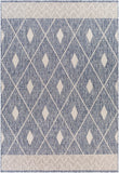 Tuareg TRG-2334 7'10" x 10' Machine Woven Rug TRG2334-71010 Livabliss Surya