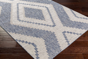 Livabliss Tuareg Flatweave Polypropylene Area Rug Southwestern Rustic Indoor Outdoor Patio Pale Blue, Tan 5'3" x 7' TRG2337-537