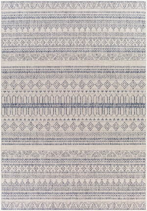 Livabliss Tuareg Global Pattern Polypropylene Area Rug Machine Woven for Indoor Outdoor Use TRG2338-679