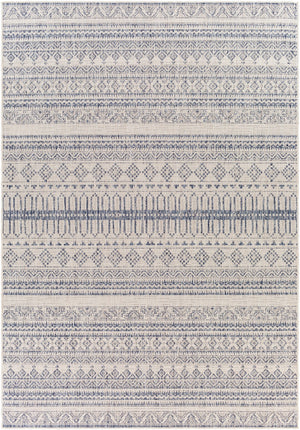 Tuareg TRG-2338 7'10" x 10' Machine Woven Rug TRG2338-71010 Livabliss Surya