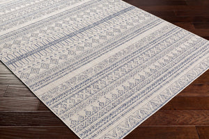 Livabliss Tuareg Global Pattern Polypropylene Area Rug Machine Woven for Indoor Outdoor Use TRG2338-679