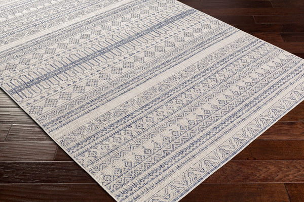 Livabliss Tuareg Global Pattern Polypropylene Area Rug Machine Woven for Indoor Outdoor Use TRG2338-679
