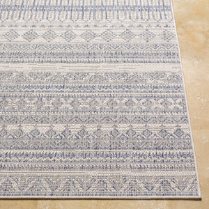 Livabliss Tuareg Global Pattern Polypropylene Area Rug Machine Woven for Indoor Outdoor Use TRG2338-679