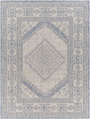 Livabliss Tuareg Flatweave Area Rug Bohemian Global Pattern Polypropylene Indoor Outdoor Use TRG2345-9212