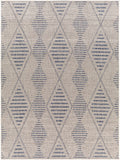 Tuareg TRG-2349 7'10" x 10' Machine Woven Rug TRG2349-71010 Livabliss Surya