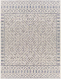 Tuareg TRG-2353 7'10" x 10' Machine Woven Rug TRG2353-71010 Livabliss Surya