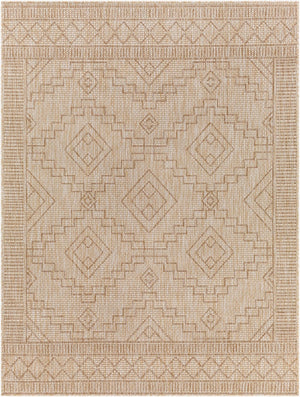 Livabliss Tuareg Flatweave Polypropylene Indoor Outdoor Rug Global Bohemian Pattern Living Room TRG2355-537