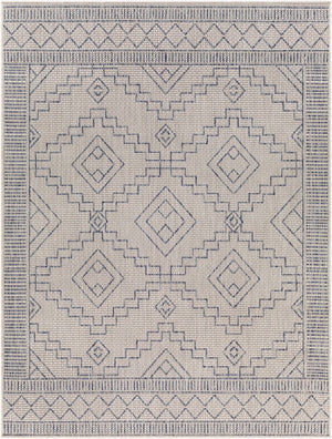 Livabliss Tuareg Global Bohemian Polypropylene Flatweave Rug for Indoor Outdoor Living Spaces TRG2356-9212