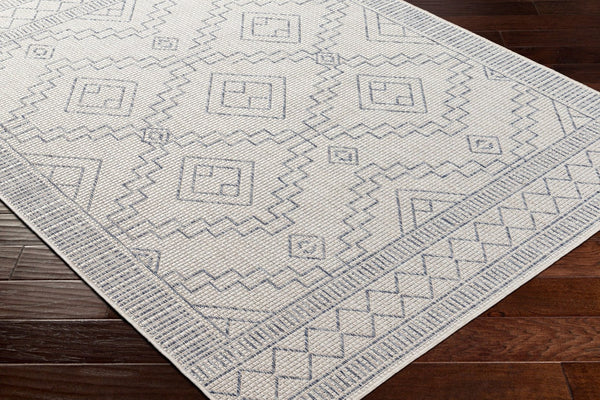 Livabliss Tuareg Global Bohemian Polypropylene Flatweave Rug for Indoor Outdoor Living Spaces TRG2356-9212