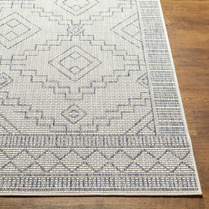 Livabliss Tuareg Global Bohemian Polypropylene Flatweave Rug for Indoor Outdoor Living Spaces TRG2356-9212