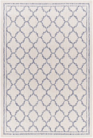 Livabliss Tuareg Geometric Polypropylene Area Rug Low Pile Transitional Design for Indoor Outdoor Use TRG2375-537
