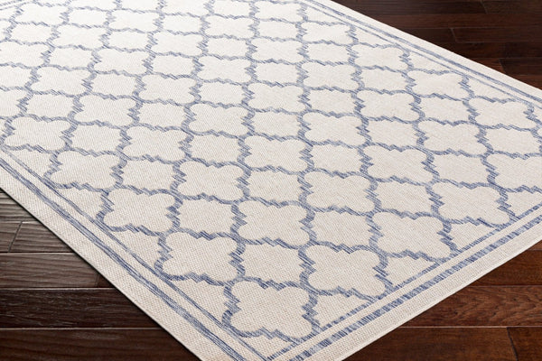 Livabliss Tuareg Geometric Polypropylene Area Rug Low Pile Transitional Design for Indoor Outdoor Use TRG2375-537
