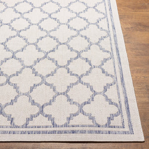 Livabliss Tuareg Geometric Polypropylene Area Rug Low Pile Transitional Design for Indoor Outdoor Use TRG2375-537