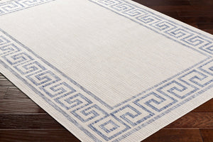 Livabliss Tuareg Flatweave Polypropylene Area Rug Machine Woven in Turkey for High Traffic Rooms TRG2379-537