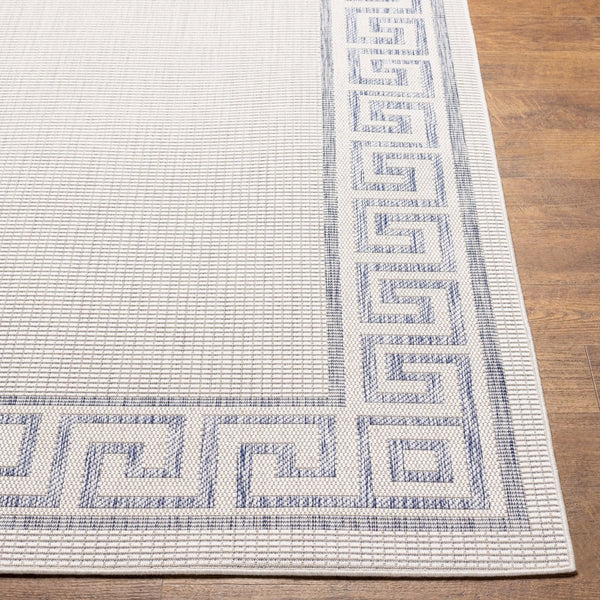 Livabliss Tuareg Flatweave Polypropylene Area Rug Machine Woven in Turkey for High Traffic Rooms TRG2379-537