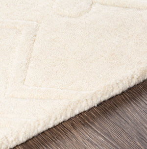 Surya Taraash Trh-2300 2'6" X 8' Luxurious Handmade Wool Rug - Modern Decor, Medium Pile, Spot Clean Only Beige Wool Trh2303-268