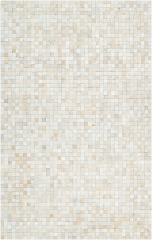 Surya Trail Handmade Hair on Hide Area Rug Organic Texture for Living or Dining Rooms TRL1117-810