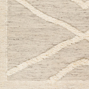 Surya Tripoli 2' X 3' Handmade Wool Rug - Bohemian Global Style For Cozy Living Room Transformation! Beige Wool Trp2300-23