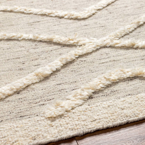 Surya Tripoli 2' X 3' Handmade Wool Rug - Bohemian Global Style For Cozy Living Room Transformation! Beige Wool Trp2300-23