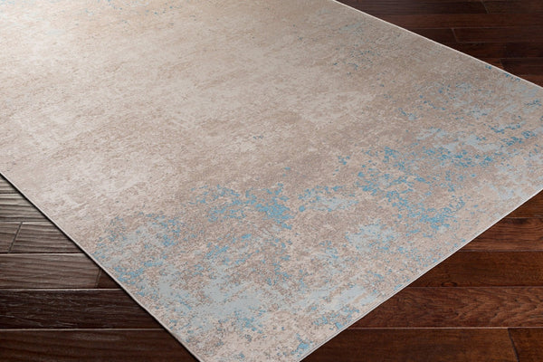 Livabliss Costa Mesa Flatweave Area Rug Belgian Woven Polyester Blend for Modern Entryways TSA1001-2243
