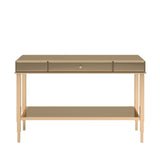 Homelegance By Top-Line Reeves Mirrored 1-Drawer TV Stand Gold Metal