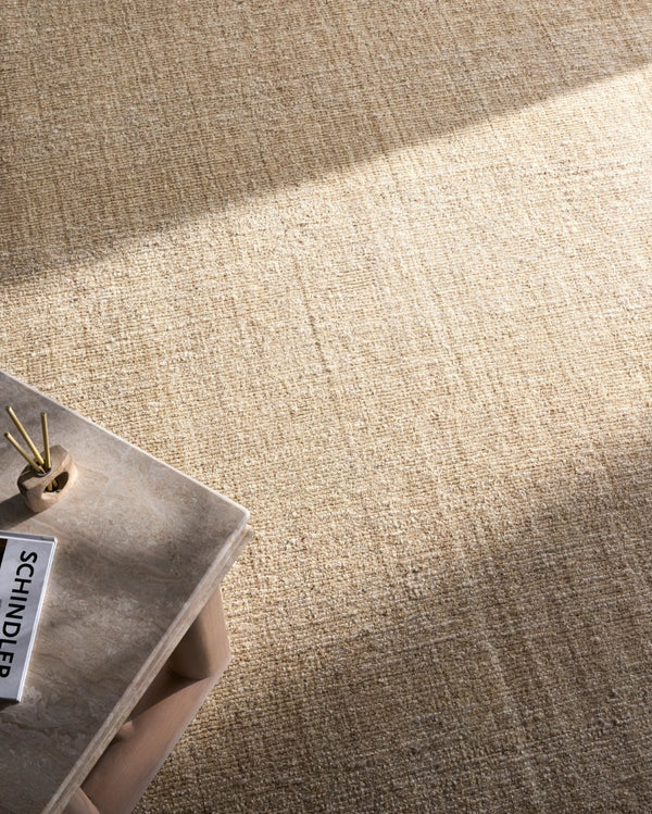 Surya Toronto Hand Loomed Wool Area Rug Bohemian Global Pattern for Living or Dining Room 2' x 3' Rectangle TTN2301-23