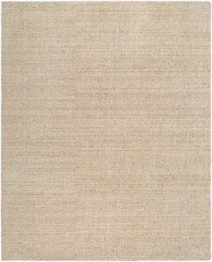 Surya Toronto Hand Loomed Wool Area Rug Bohemian Global Pattern for Living or Dining Room 2' x 3' Rectangle TTN2301-23