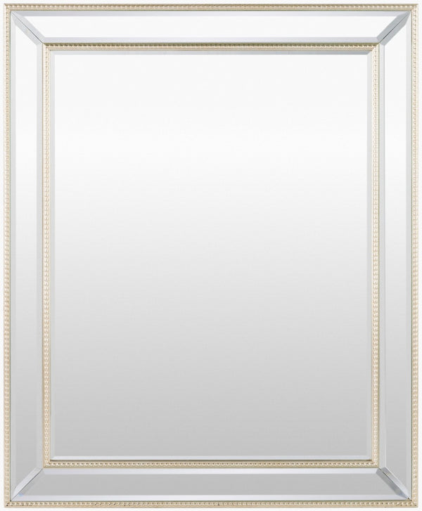 Livabliss Constantine Ornate Accent Mirror with Slim Profile for Entryways and Living Rooms TTO001-2822