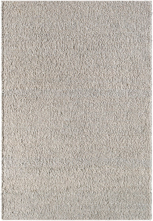 Surya Timbuktu Handmade Rug TTU-2301