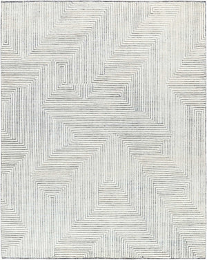 Surya Tunus Exquisite 2' X 3' Handmade Wool Rug – Luxurious Design, Comfort, And Durability For Your Home! Taupe Wool Tun2319-23