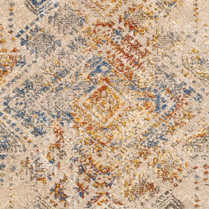 Livabliss Tuscany Global Pattern High Low Pile Accent Rug Polypropylene Blend for Entryways TUS2302-23