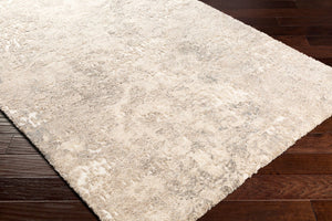 Livabliss Tuscany High Pile Polypropylene Area Rug Mid-century Modern Design for Large Living Rooms Ivory, Aqua 5'3" x 7'3" TUS2304-5373