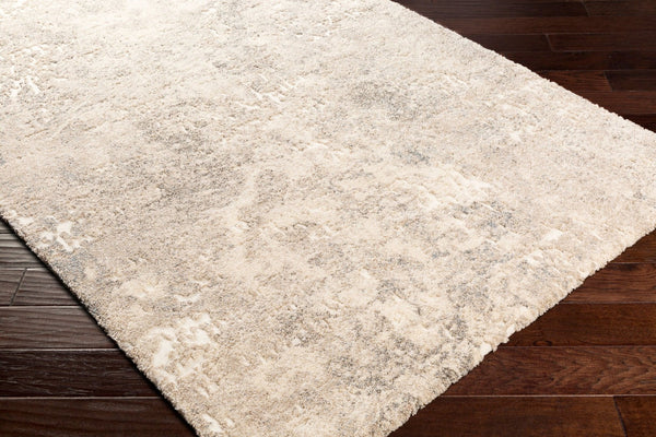 Livabliss Tuscany High Pile Polypropylene Area Rug Mid-century Modern Design for Large Living Rooms Ivory, Aqua 5'3" x 7'3" TUS2304-5373