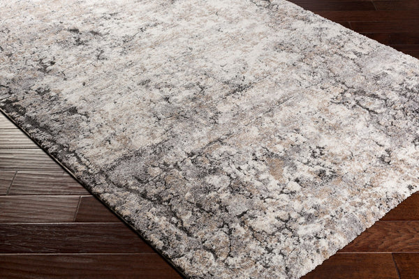 Livabliss Tuscany Machine Woven Area Rug For Modern Homes - Durable, Stylish, And Easy To Maintain In Turkey Tan,Ivory,Charcoal,Black,Gray Polypropylene,Polyester Tus2311-9121