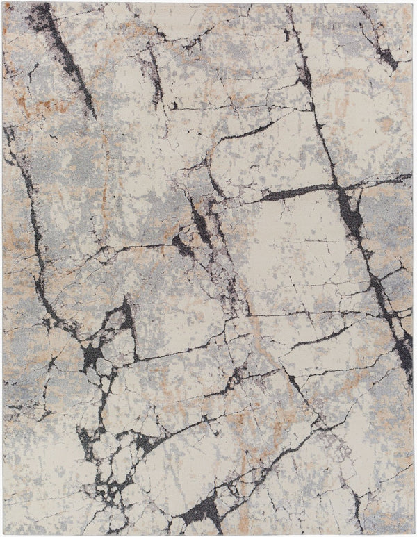 Livabliss Tuscany High Pile Machine Woven Area Rug for Modern Living Room Floor Decor Ivory, Light Be 7'10" x 10'2" TUS2314-710103
