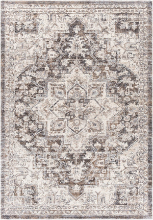 Livabliss Tuscany Traditional Medallion High Pile Area Rug for Formal Living and Dining Rooms Brown, Charcoal 8'10" x 12'2" TUS2318-9121